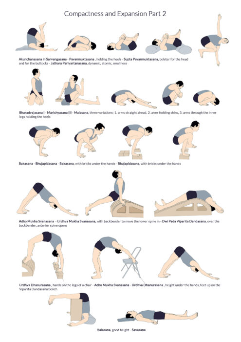 View the entire Iyengar Yoga Sequence: Intermediate Iyengar Yoga Sequence  at https://www.tummee.com/yoga-sequences/iyengar-yoga-sequence-... |  Instagram